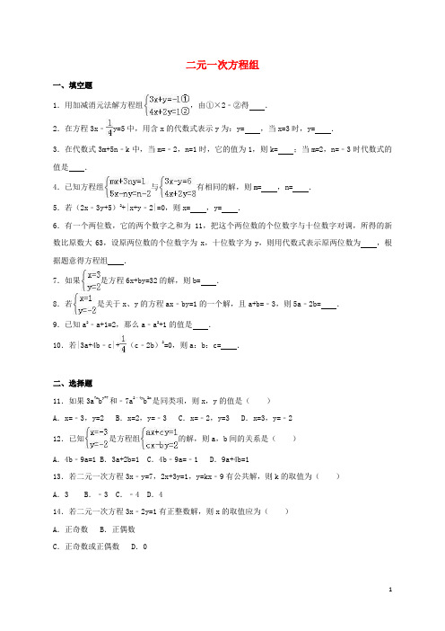 中考数学专题练习 二元一次方程组(含解析)