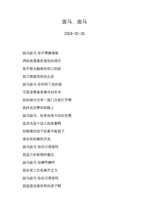 宋冬野—斑马,斑马—歌词