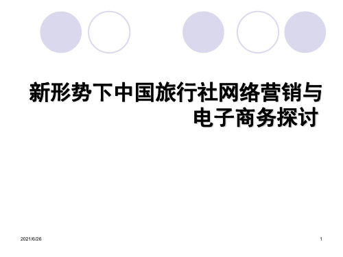 旅行社网络营销与电子商务探讨PPT课件