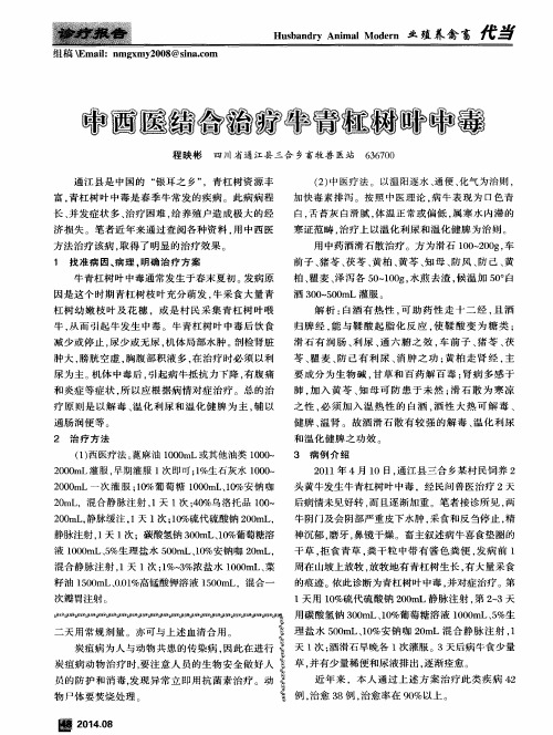 中西医结合治疗牛青杠树叶中毒