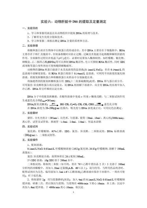 实验6 动物肝脏中DNA的提取