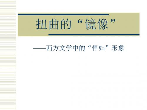 扭曲的镜像