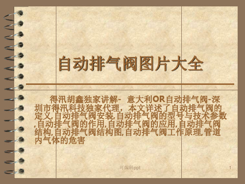 自动排气阀图片大全