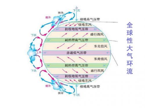 整体性和差异性