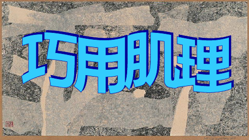 六年级下册美术第十课巧用肌理湘美版 (17)