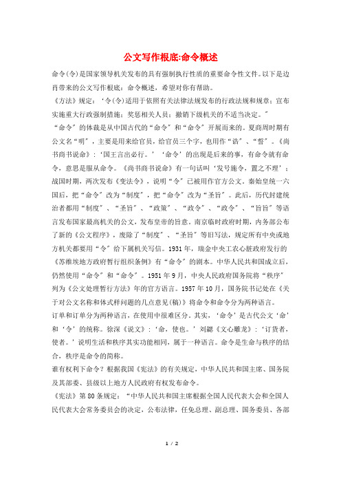 公文写作基础-命令概述
