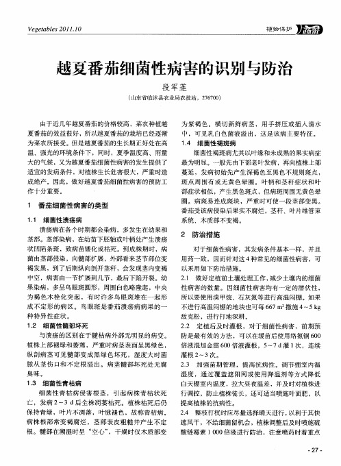越夏番茄细菌性病害的识别与防治