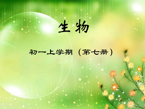 在实验室里观察植物PPT教学课件