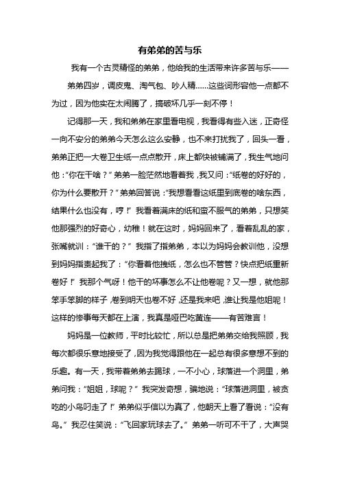 六年级作文：有弟弟的苦与乐作文800字