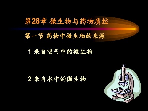 《微生物学与免疫学》第28章 药物检测 ppt课件