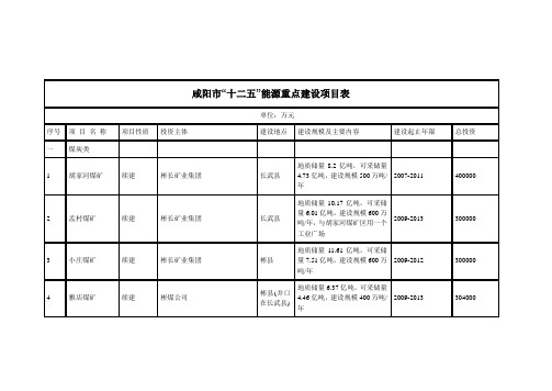 咸阳市“十二五”能源重点建设项目表