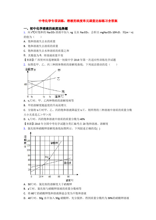 中考化学专项训练：溶液的浓度单元课堂达标练习含答案