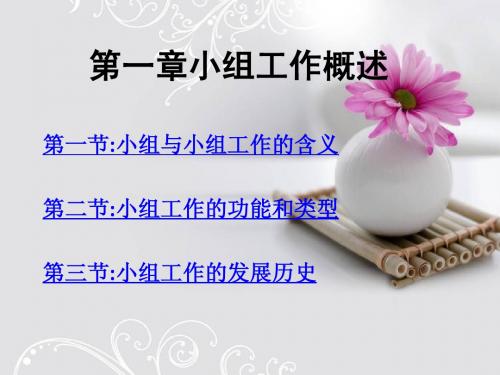 第一章小组工作概述