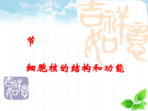 细胞核的结构和功能ppt课件(自制)3