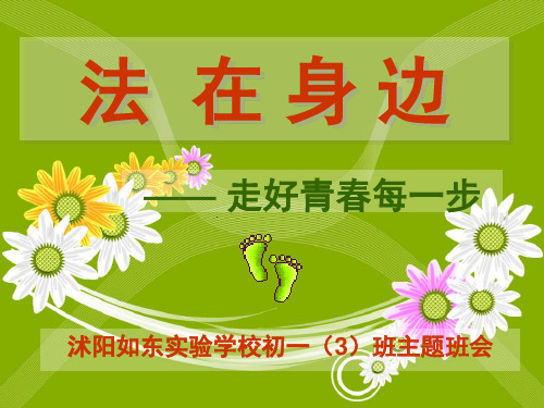 法在身边——走好青春每一步(课堂PPT)