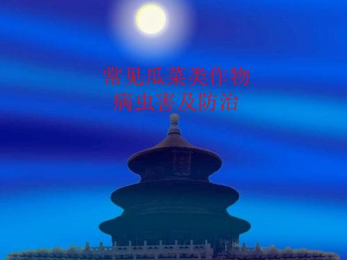 常见瓜菜类作物病虫害-PPT课件