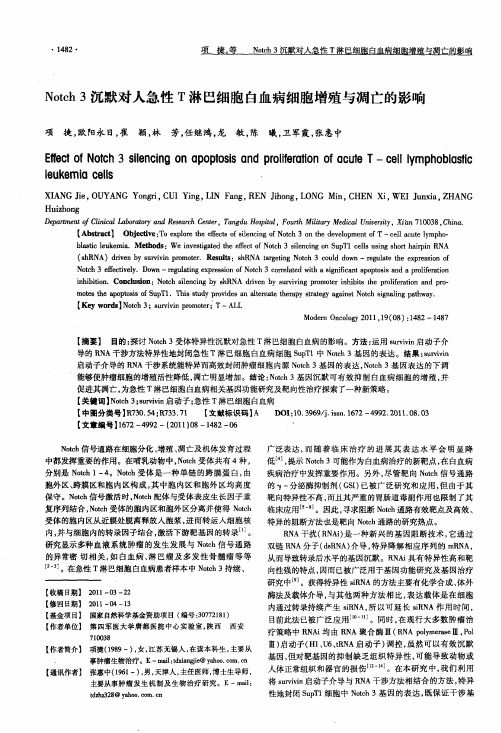 Notch 3沉默对人急性T淋巴细胞白血病细胞增殖与凋亡的影响