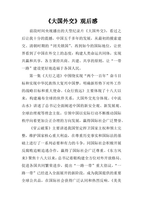 《大国外交》观后感_13