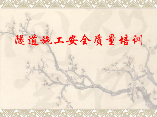 隧道安全质量培训课件(243页)