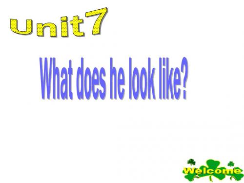 山东专用：人教版英语七年级下Unit 7《What does he l