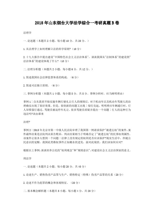 2018年山东烟台大学法学综合一考研真题B卷