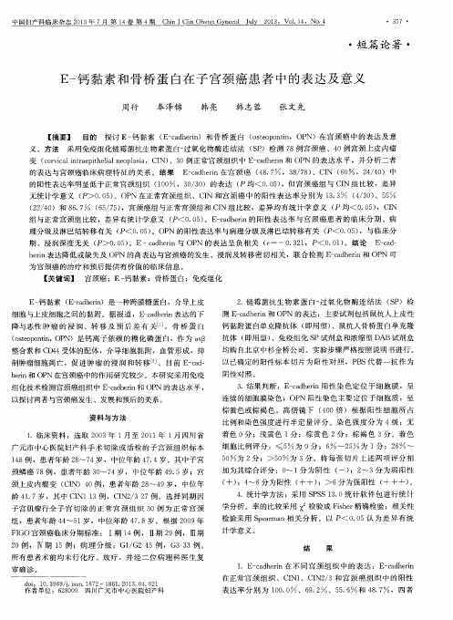 E-钙黏素和骨桥蛋白在子宫颈癌患者中的表达及意义