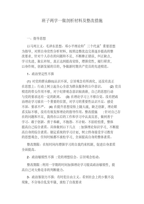班子两学一做剖析材料及整改措施