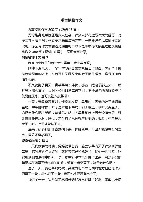 观察植物作文300字（精选48篇）