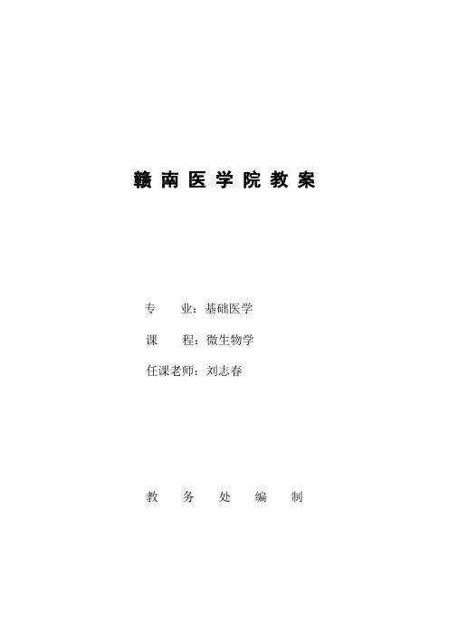 肝炎病毒教案
