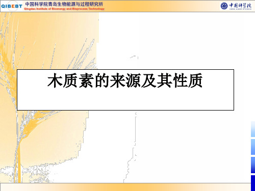 木质素来源及其性质