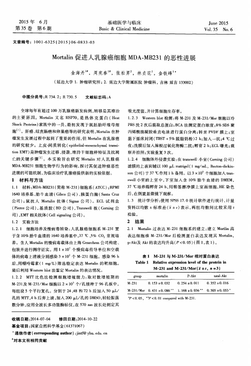 Mortalin促进人乳腺癌细胞MDA-MB231的恶性进展