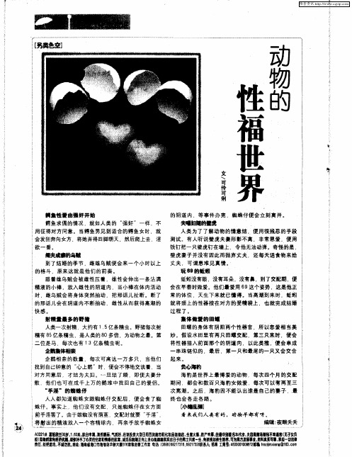 动物的性福世界