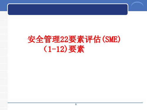 安全管理22要素评估(SME)要素