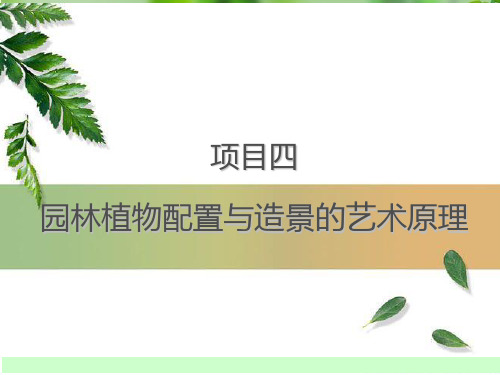 园林植物配置与造景的艺术原理1