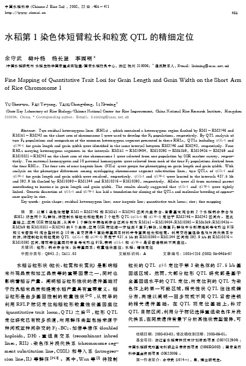 水稻第1染色体短臂粒长和粒宽QL的精细定位T