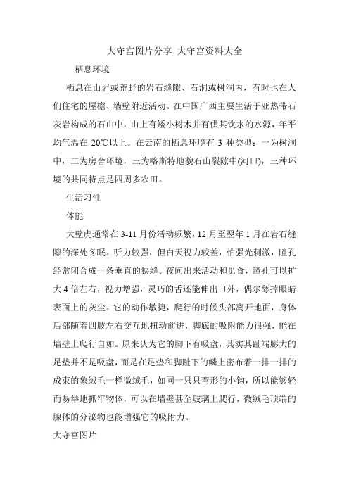 大守宫图片分享 大守宫资料大全