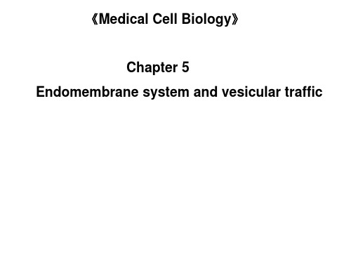 细胞生物学英文课件：内膜系统1