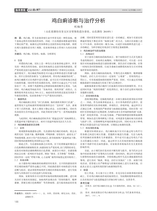 鸡白痢诊断与治疗分析