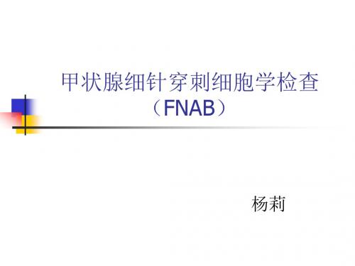 甲状腺细针穿刺细胞学检查