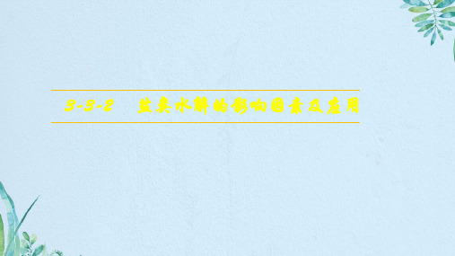 高中化学第三章水溶液中的离子平衡3.3盐类的水解第2课时盐类水解的影响课件新人教版选修