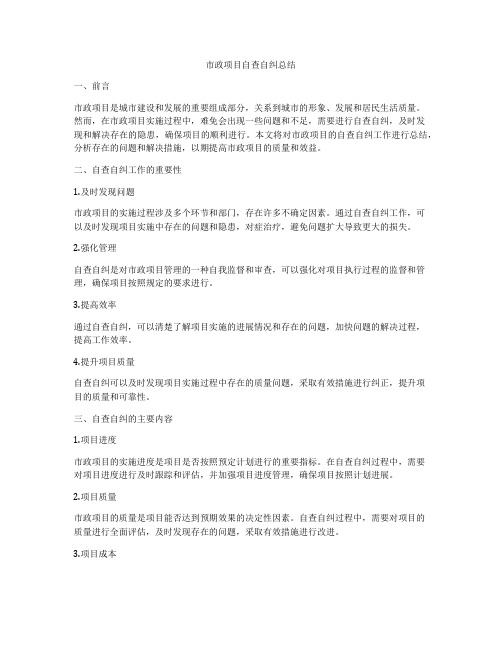 市政项目自查自纠总结