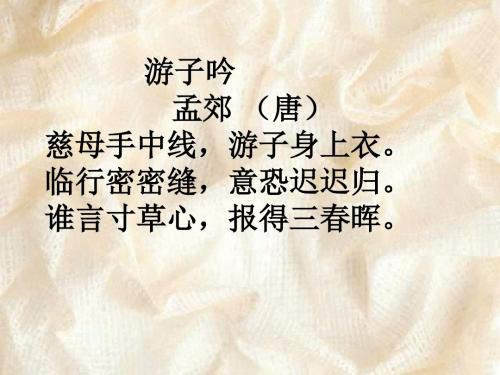 《18慈母情PPT课件完美版