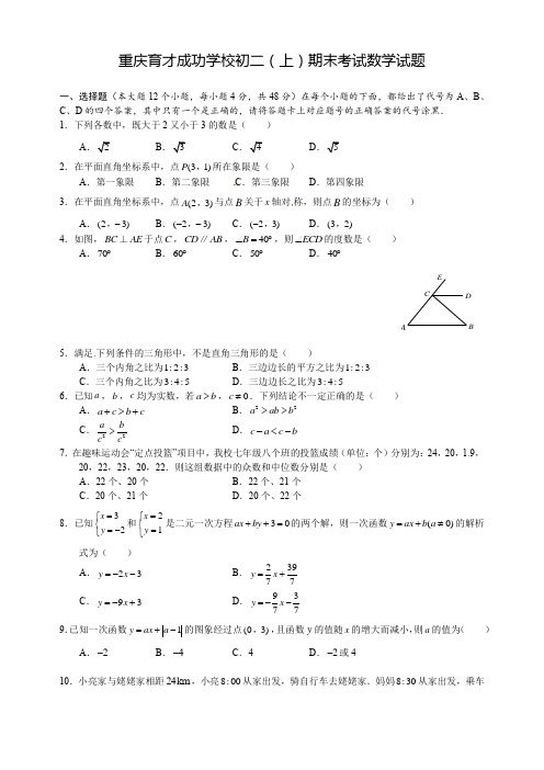 重庆市育才中学2015-2016学年八年级上学期期末考试数学试题(无答案)