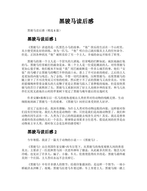 黑骏马读后感