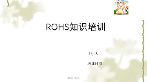 最新ROHS培训课件