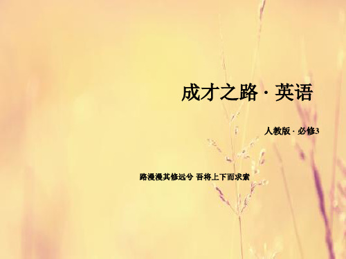 人教版 festivals around the worldPPT教学课件