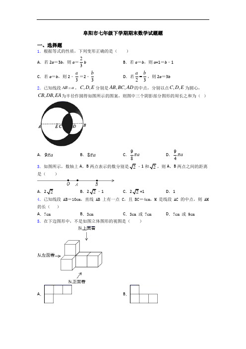 阜阳市七年级下学期期末数学试题题