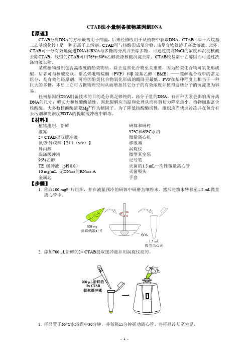 CTAB法小量制备植物基因组DNA