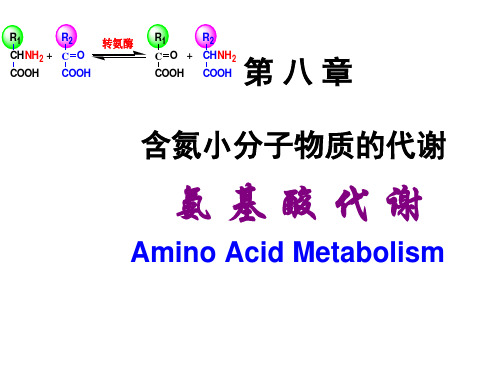 《生物化学》含氮小分子物质的代谢