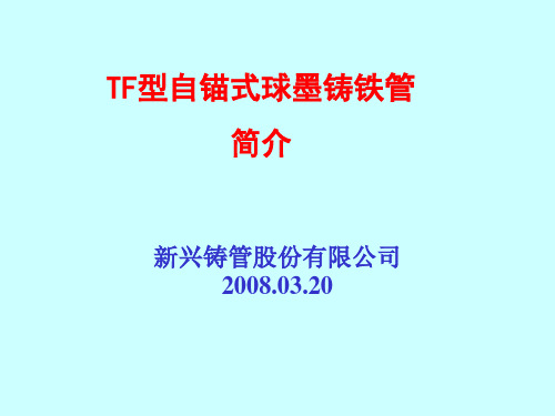 自锚式球墨铸铁管..